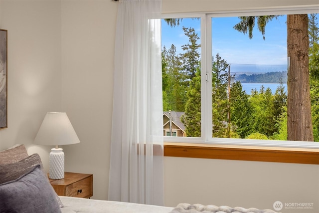 bedroom with a water view