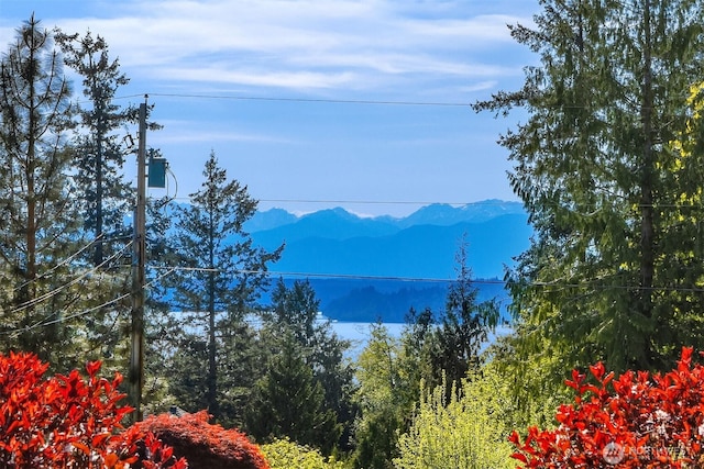 property view of mountains