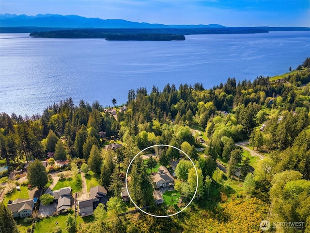 bird's eye view with a water and mountain view