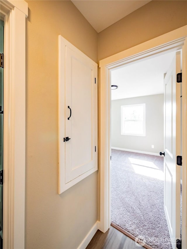 hall featuring dark wood-style flooring, dark colored carpet, and baseboards