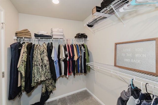 walk in closet featuring carpet flooring