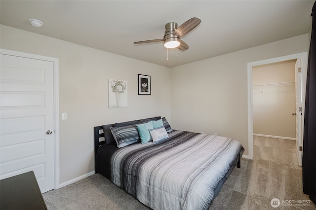 bedroom with a walk in closet, a ceiling fan, baseboards, a closet, and carpet flooring