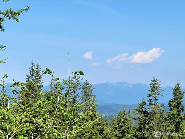 0NKA Anders Dr, Cle Elum, WA 98922