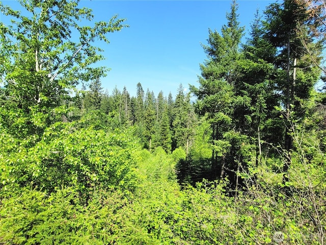 0NKA Anders Dr, Cle Elum, WA 98922