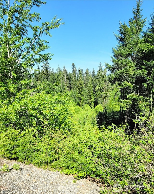 0NKA Anders Dr, Cle Elum, WA 98922