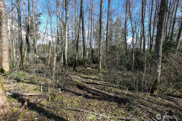 1231 Red Fox Ln, Freeland, WA 98249 - photo 8