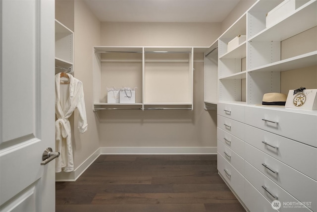 spacious closet featuring dark wood-style flooring