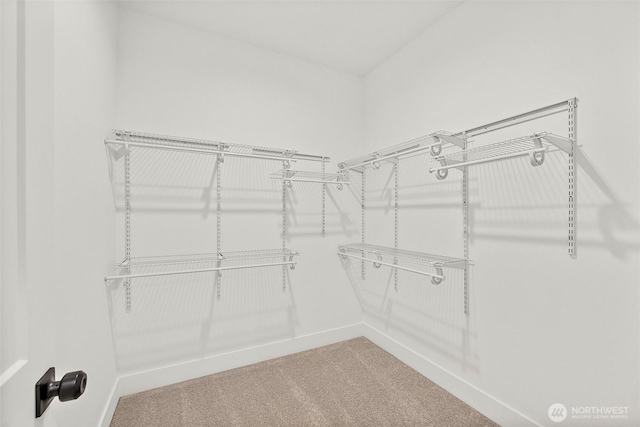 1322 114th St S, Tacoma, WA 98444 - spacious closet featuring carpet flooring