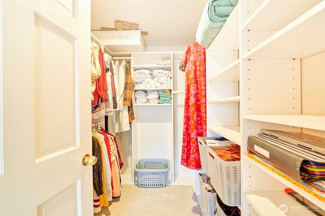 972 16th Ct, Mukilteo, WA 98275 - walk in closet featuring carpet flooring