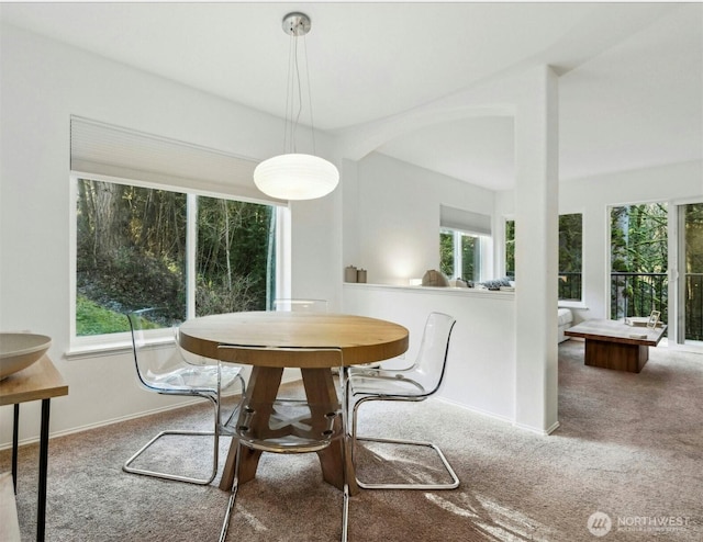 dining space with a healthy amount of sunlight, baseboards, and carpet