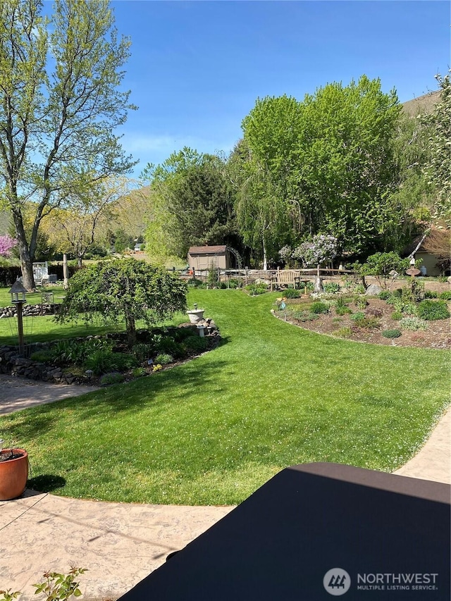 view of yard with a patio