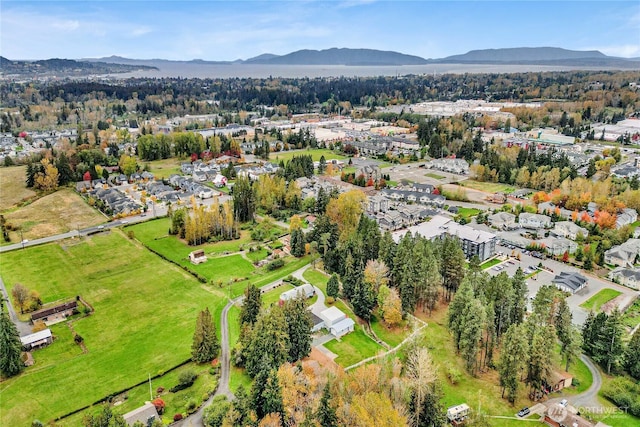 drone / aerial view featuring a mountain view