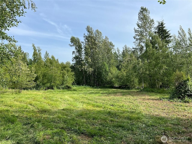 25726 120th St SE, Monroe, WA 98272 - photo 39