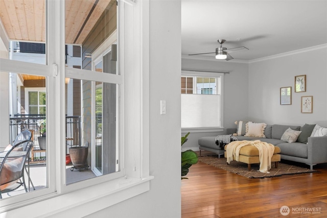 living room featuring wood-type flooring, a ceiling fan, baseboards, and ornamental molding