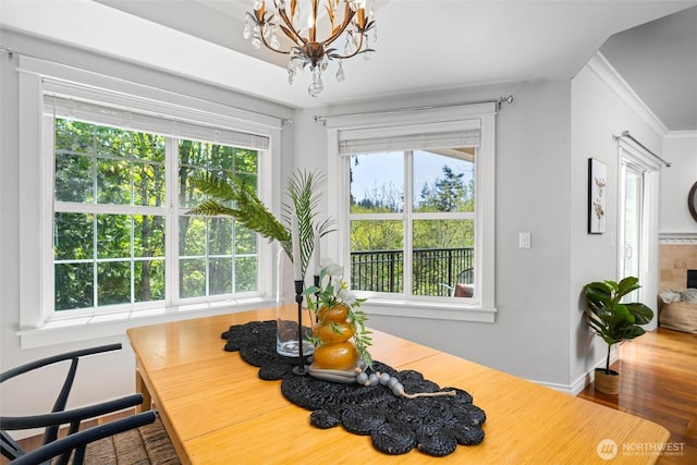 dining room with baseboards, a chandelier, plenty of natural light, and wood finished floors