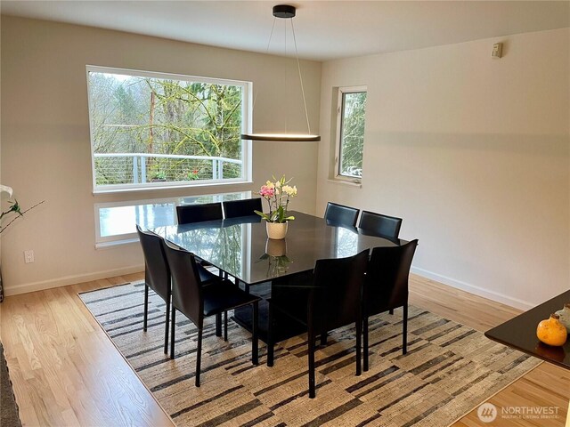 15912 252nd Ave SE, Issaquah, WA 98027 - photo 11