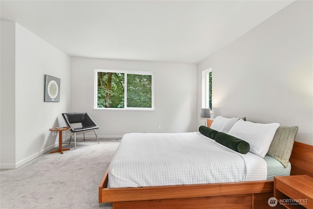15912 252nd Ave SE, Issaquah, WA 98027 - photo 15