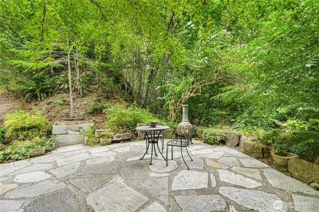 15912 252nd Ave SE, Issaquah, WA 98027 - photo 31