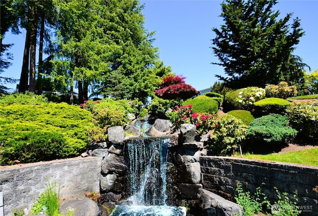 21628 SE 272nd Pl Unit 138, Maple Valley, WA 98038 - view of property's community