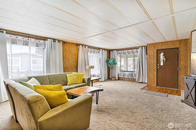 living area with wooden walls and carpet