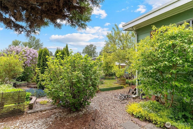 11436 SE 208th St Unit 112, Kent, WA 98031 - view of yard