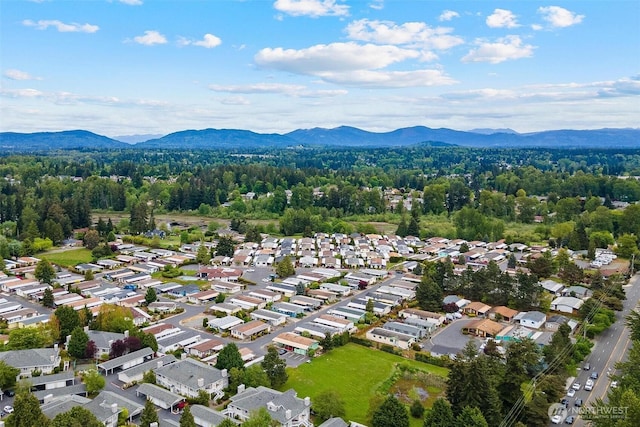 aerial view of residential area with a mountain backdrop