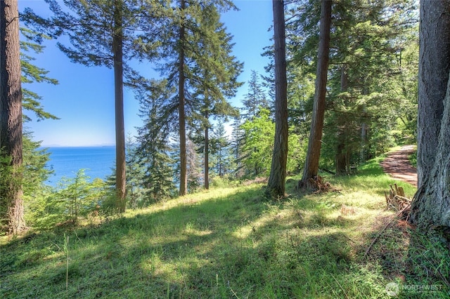 2700 Raccoon Point Rd, Orcas Island, WA 98245