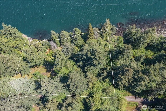 2700 Raccoon Point Rd, Orcas Island, WA 98245