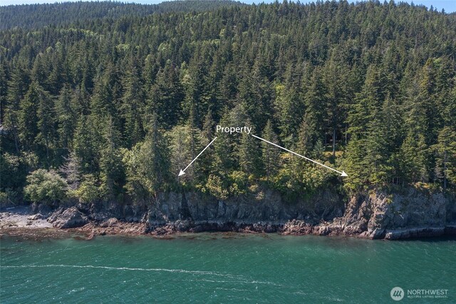 2700 Raccoon Point Rd, Orcas Island, WA 98245