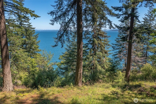 2700 Raccoon Point Rd, Orcas Island, WA 98245