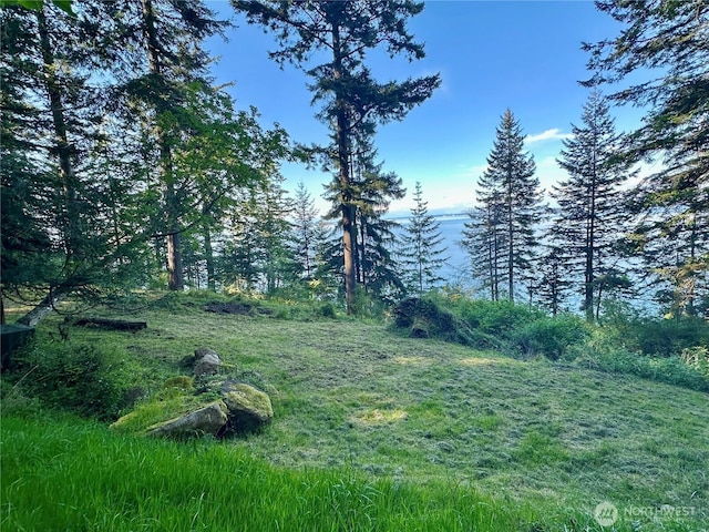 2700 Raccoon Point Rd, Orcas Island, WA 98245