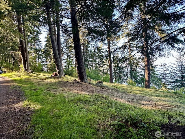 2700 Raccoon Point Rd, Orcas Island, WA 98245