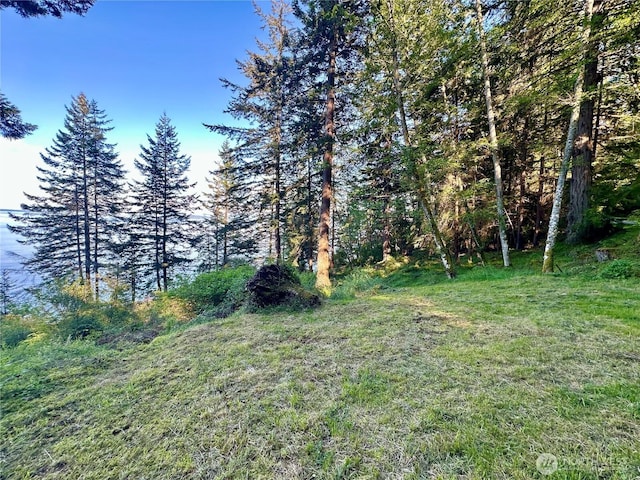 2700 Raccoon Point Rd, Orcas Island, WA 98245