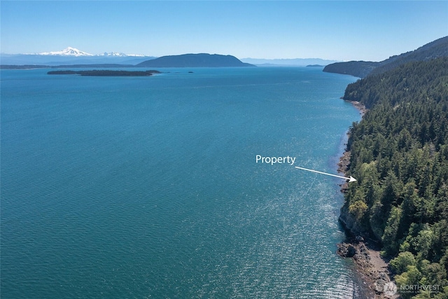 2700 Raccoon Point Rd, Orcas Island, WA 98245