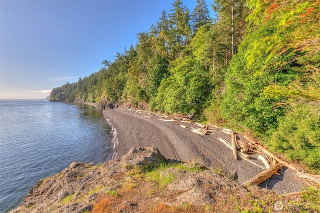 2700 Raccoon Point Rd, Orcas Island, WA 98245