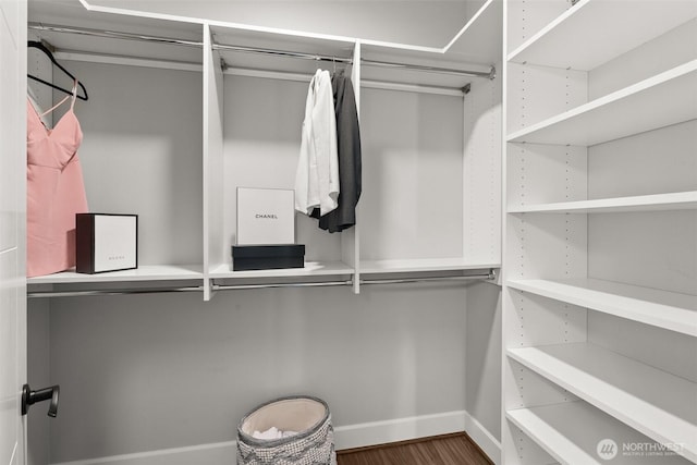 spacious closet featuring wood finished floors