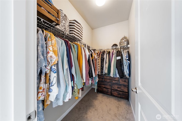 spacious closet featuring carpet flooring