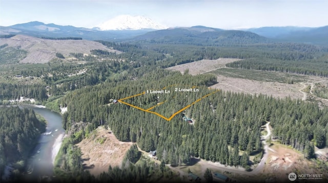 1 Loowit Ln, Cougar, WA 98616 - photo 29