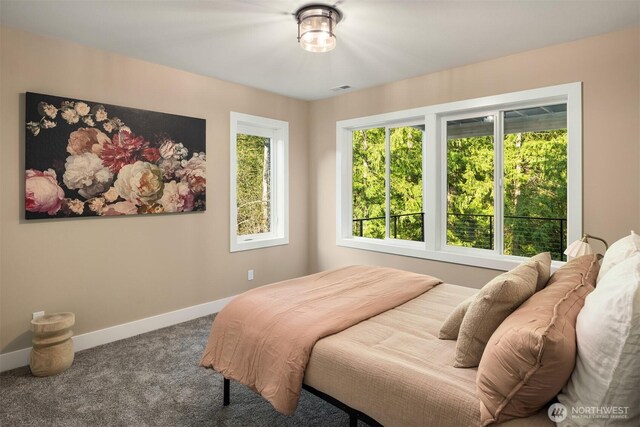 12009 SE 81st Ln, Newcastle, WA 98056 - carpeted bedroom with baseboards and visible vents