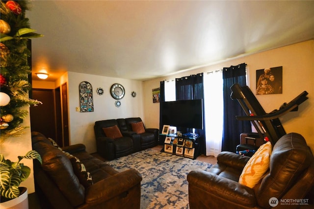 view of carpeted living area