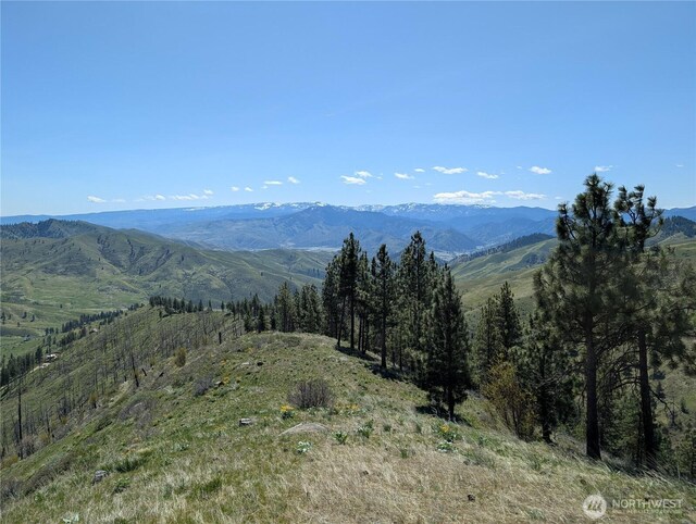 1021 Chicken Farm Ln, Cashmere, WA 98815 - photo 28