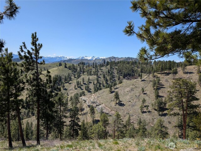 1021 Chicken Farm Ln, Cashmere, WA 98815 - photo 29