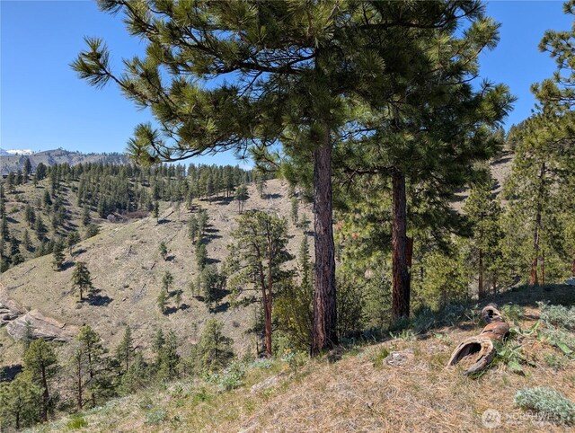 1021 Chicken Farm Ln, Cashmere, WA 98815 - photo 30