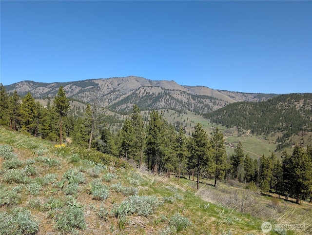 1021 Chicken Farm Ln, Cashmere, WA 98815 - photo 31
