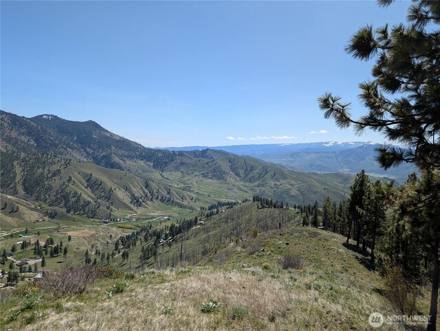 1021 Chicken Farm Ln, Cashmere, WA 98815 - photo 33