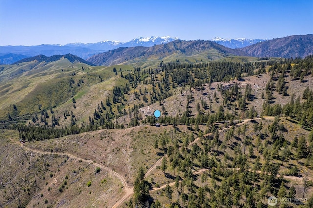 1021 Chicken Farm Ln, Cashmere, WA 98815 - photo 18