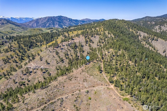 1021 Chicken Farm Ln, Cashmere, WA 98815 - photo 17
