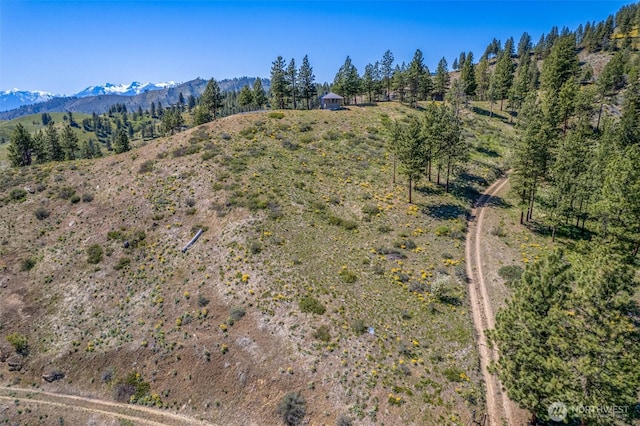 1021 Chicken Farm Ln, Cashmere, WA 98815 - photo 22