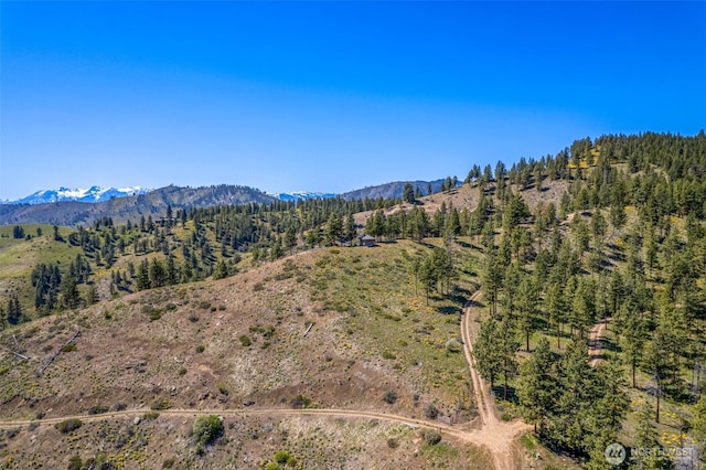 1021 Chicken Farm Ln, Cashmere, WA 98815 - photo 23