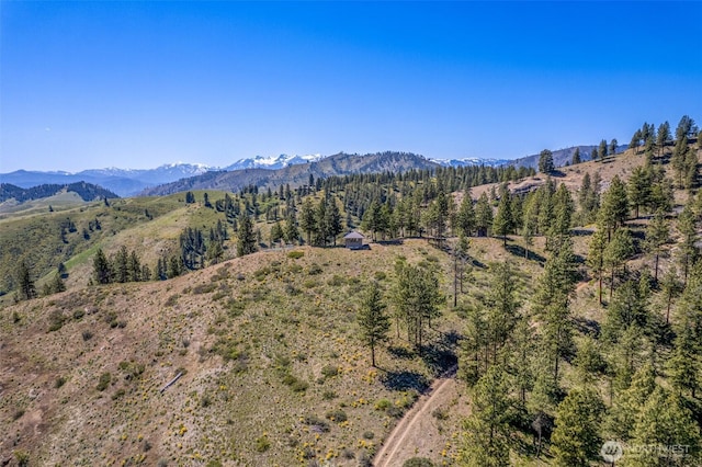 1021 Chicken Farm Ln, Cashmere, WA 98815 - photo 24
